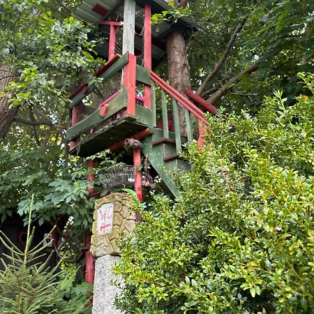 Białogarda Dom wakacyjny *