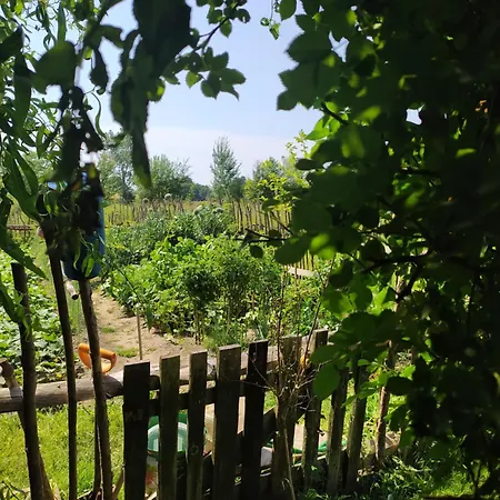 Białogarda Dom wakacyjny *